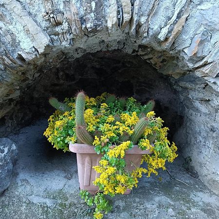 Il Fontolo Villa Ponzano Superiore Exterior foto