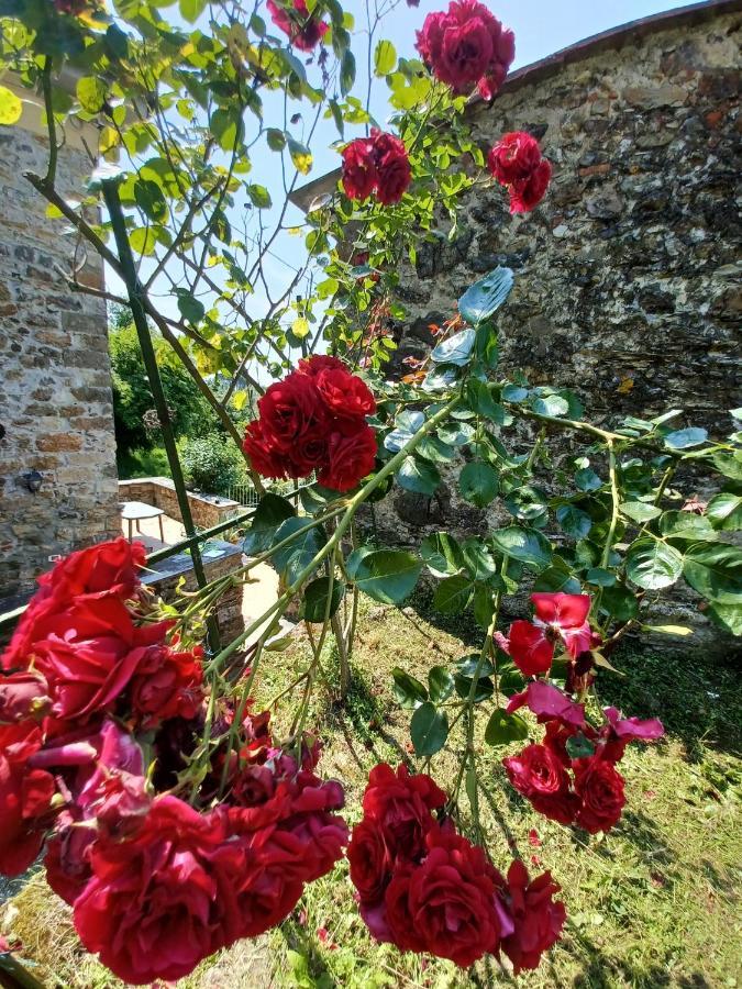 Il Fontolo Villa Ponzano Superiore Exterior foto