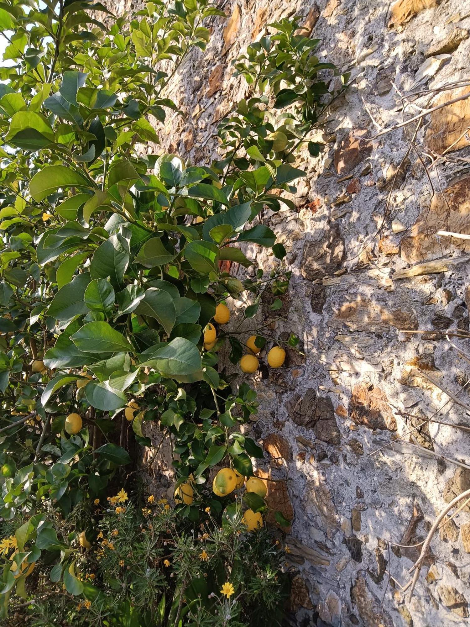 Il Fontolo Villa Ponzano Superiore Exterior foto