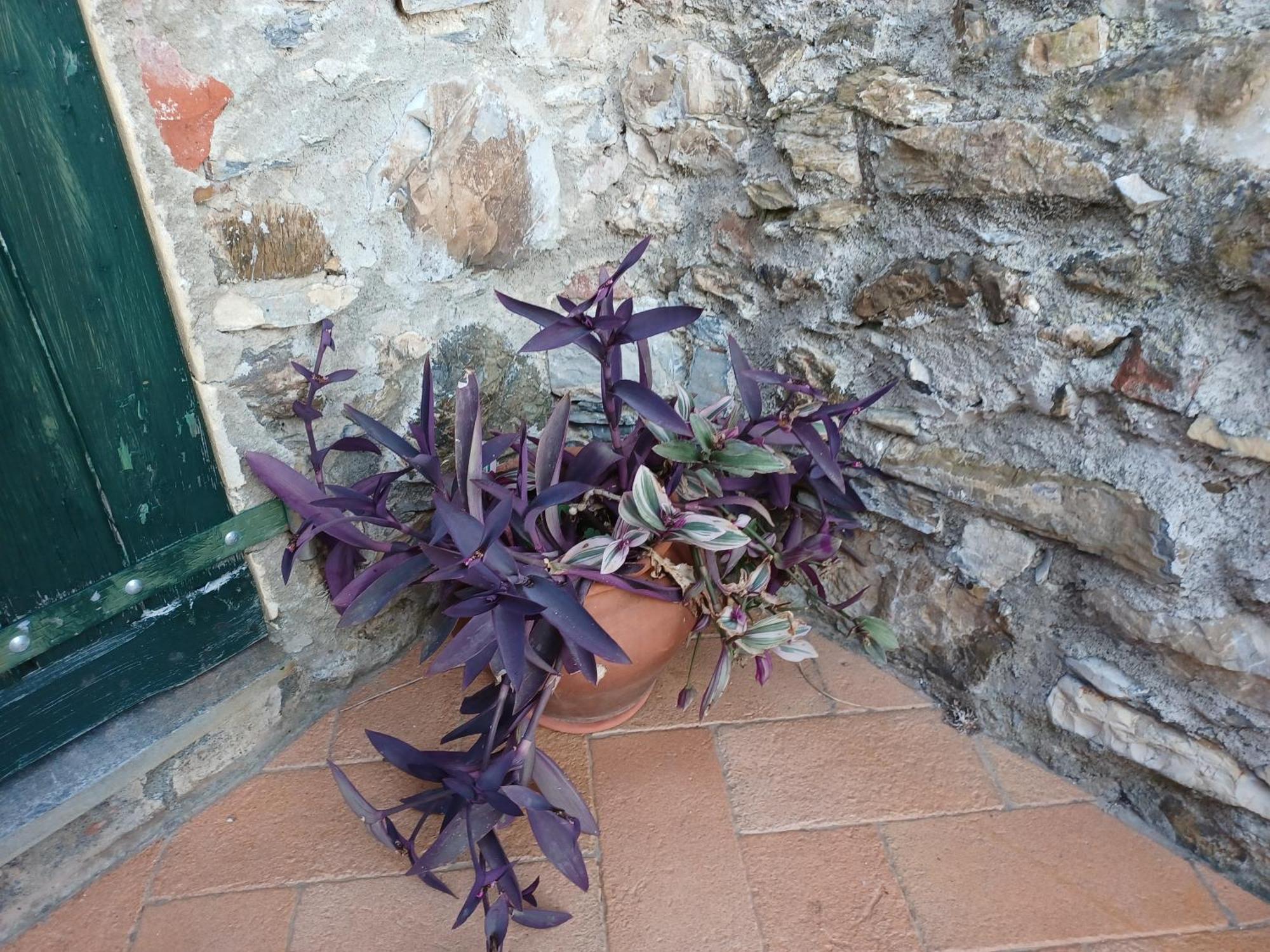 Il Fontolo Villa Ponzano Superiore Exterior foto