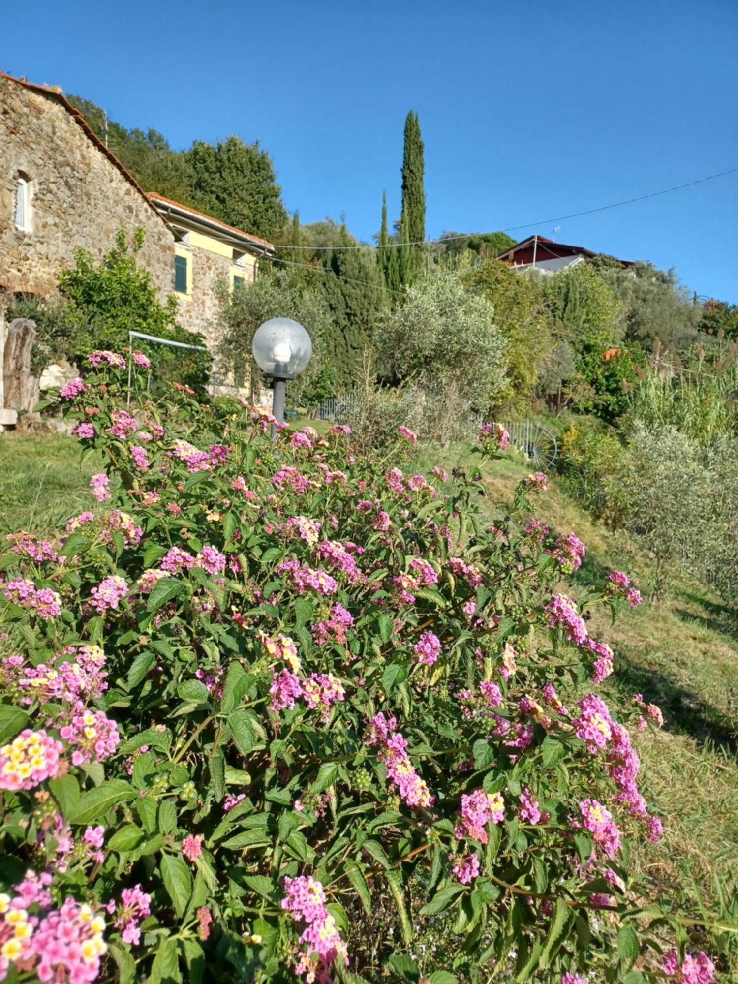 Il Fontolo Villa Ponzano Superiore Exterior foto