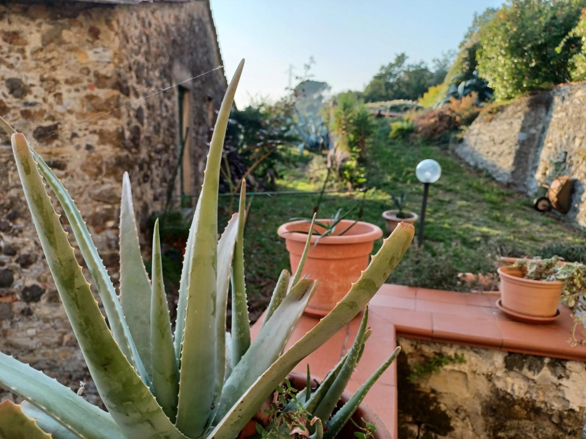 Il Fontolo Villa Ponzano Superiore Exterior foto