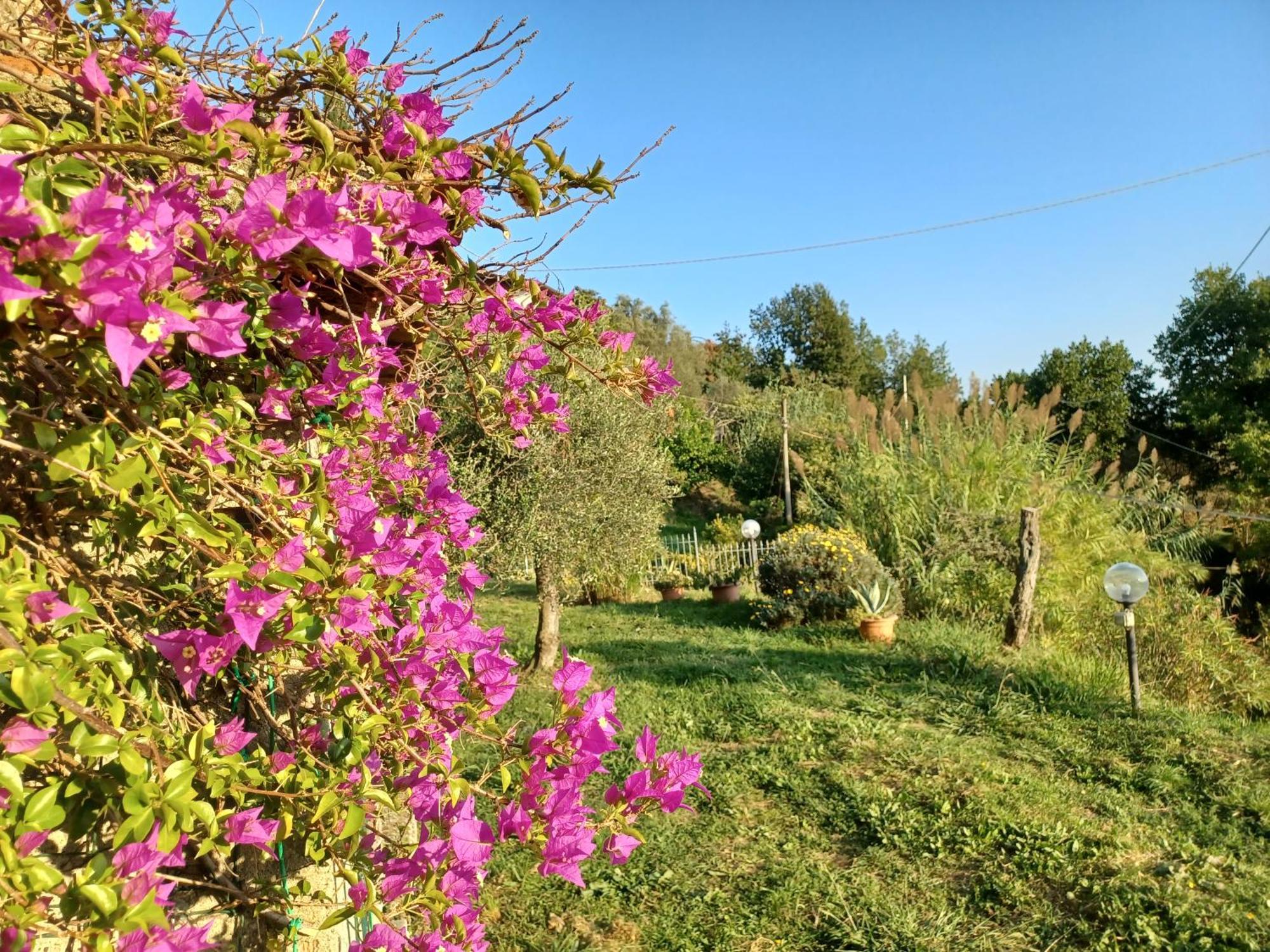 Il Fontolo Villa Ponzano Superiore Exterior foto