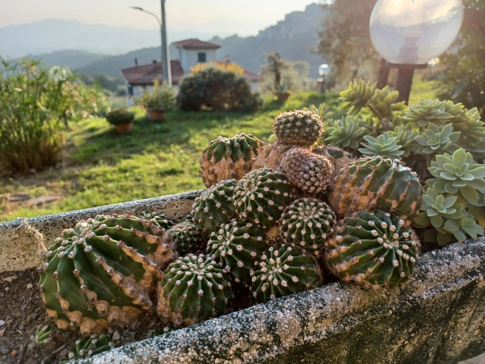 Il Fontolo Villa Ponzano Superiore Exterior foto